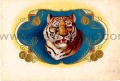 Tiger02.jpg