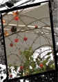Vogel mit Baum Winter 010.jpg